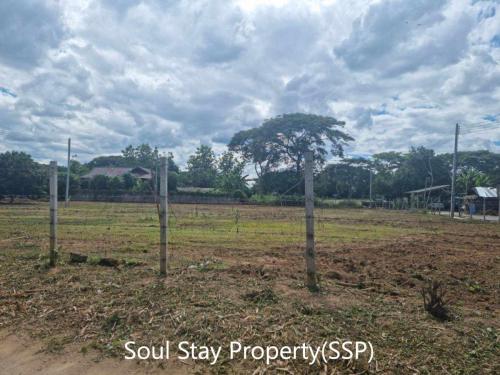 448882230 1002738947665841 6382512311640142013 n