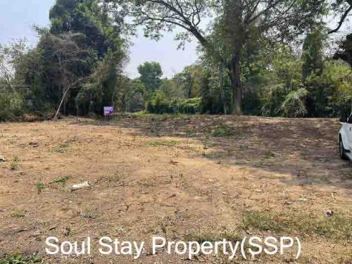 448882231 1052531102971220 2561046324372158244 n