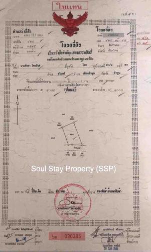 448885011 1466763154202724 3722566334661090326 n