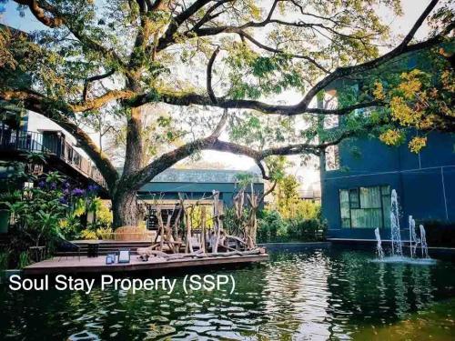 448886078 1012994930170161 7951421733266059069 n