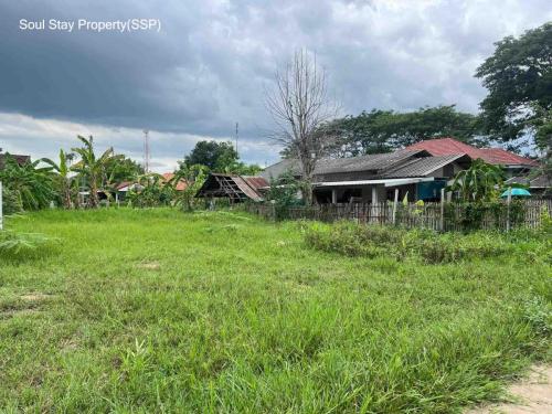 448905410 1434559893866344 161795268041851803 n