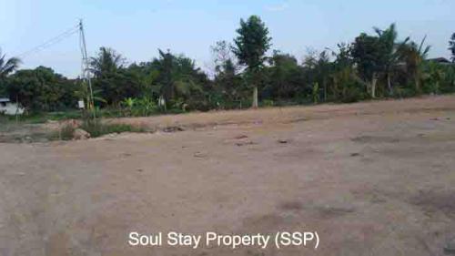 448933872 1199841191042884 7734304655077182994 n