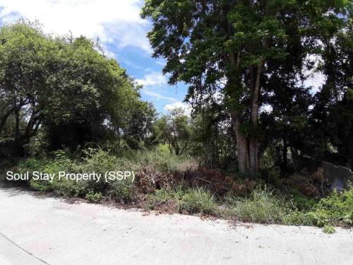 448947602 351793541276060 3135212439130099024 n