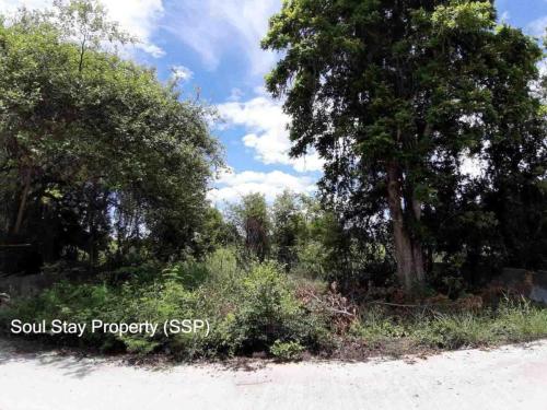 448948919 1489660471649796 7916161864104678150 n