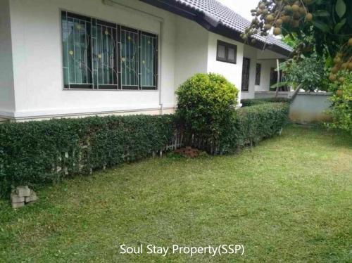 449036689 1950607545387763 6451453412048558105 n