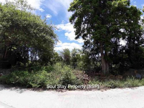 449047689 462944359683240 5131871695452483957 n