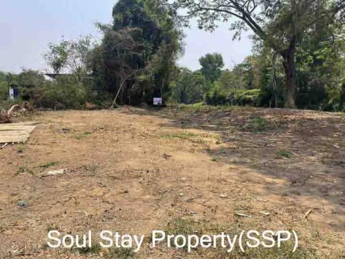 449057912 1197980891321273 2136790168036496840 n