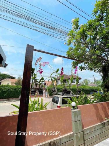 449059477 781757884138159 5716955894025033748 n