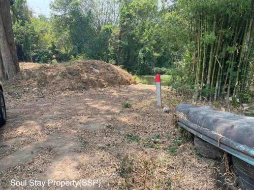 449068574 1638844646849750 4642495009318787791 n