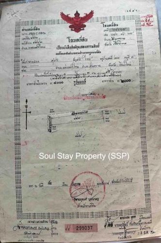 449138958 998437861776853 2134923787365186312 n-1