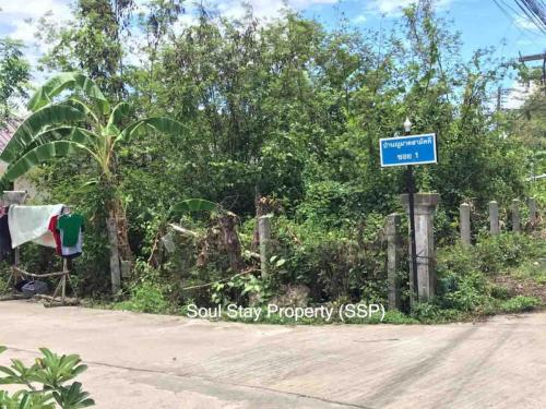 449151521 462696463061121 6883687056031633192 n