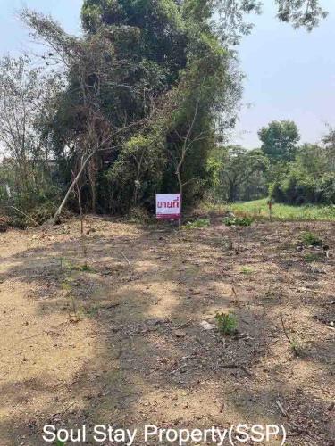 449175130 473696318581370 5330427019121967450 n