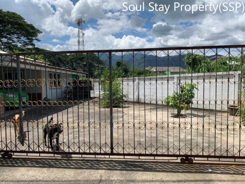 449312483 1035563824896884 4404179481013457416 n