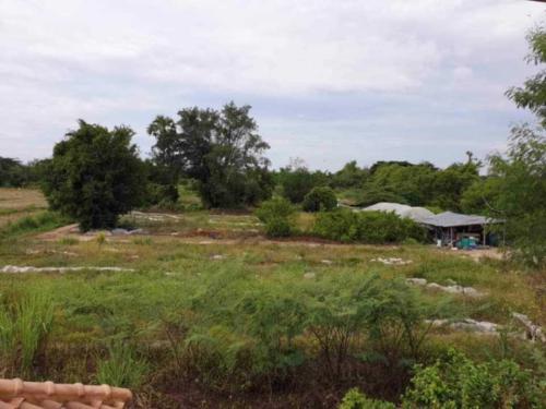 449324138 391119213514781 4012560836681517049 n