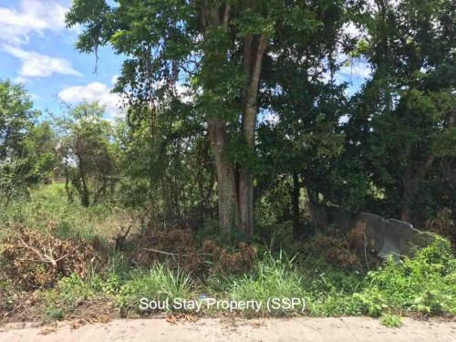 449334623 492653169794011 5819383598466375261 n