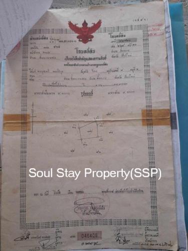 449347702 1003511181284330 6910872240012609066 n