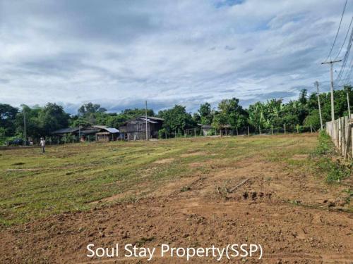 449365826 7760273724007657 4792130561408787180 n