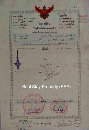 449368881 847292420648981 1316868975920645577 n