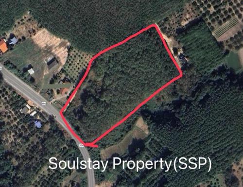 449420391 895086125773393 6791217157890102773 n