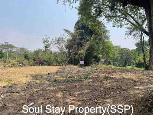 449464622 7554314981346174 6198561976702235742 n