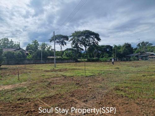 449487433 695388442725467 8060729392261169828 n