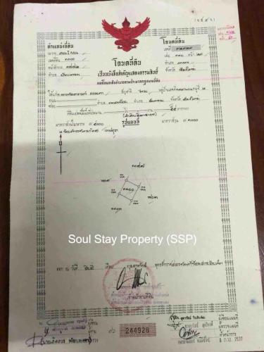 449643523 1000696711233485 5764593709295190553 n