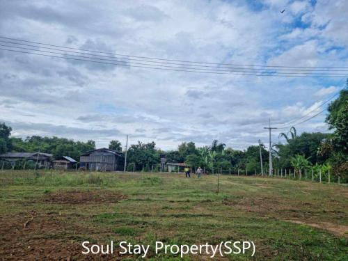 449677502 1031771658365215 5648711790832736085 n