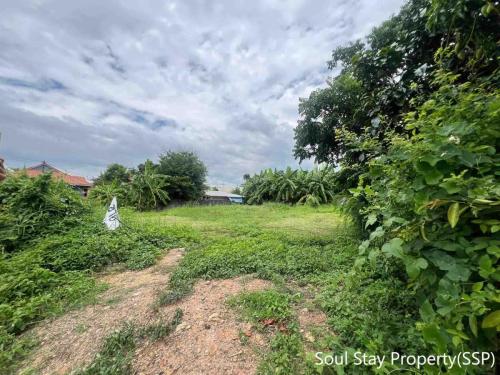 449716178 447814848162591 5903263426464279953 n