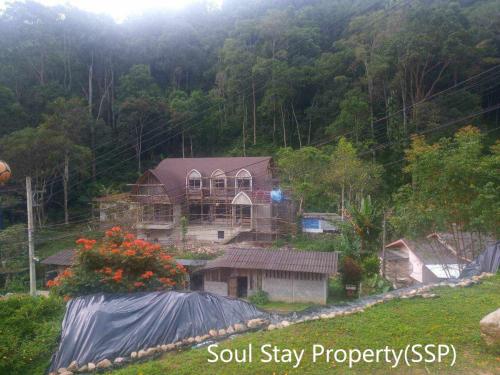 449721806 1149903242933262 1927658855019208303 n