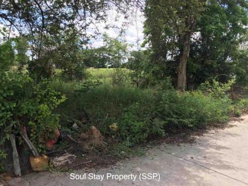 449771362 2159943531043527 2717422104932453397 n