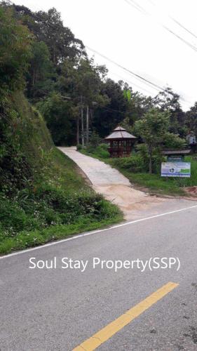 449879962 508069978451344 5497512901679413790 n