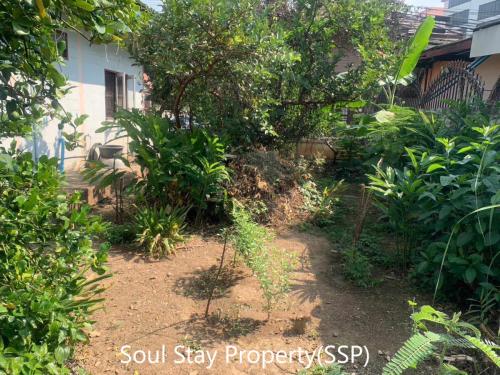 449962334 1499616297607012 1333900348688884413 n