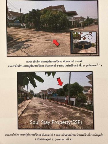 450410550 1333721617587855 6764686840022038212 n