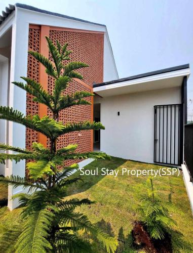 450766252 846211744115530 7111606805613307353 n