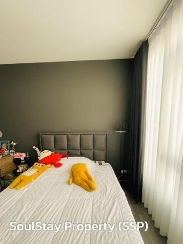 LINE ALBUM  SSP02-ยุหวา-สันป่าตอง 240513 29