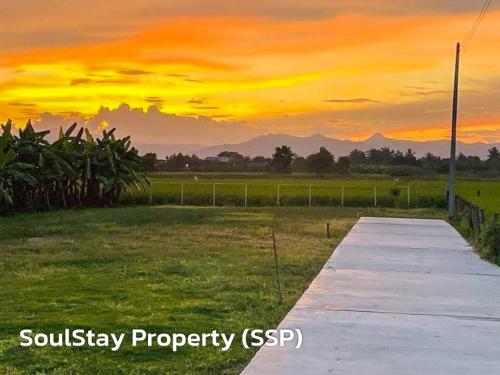 LINE ALBUM  SSP02-ยุหวา-สันป่าตอง 240513 3