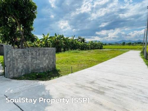 LINE ALBUM  SSP02-ยุหวา-สันป่าตอง 240513 4