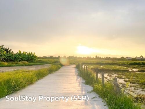 LINE ALBUM  SSP02-ยุหวา-สันป่าตอง 240513 5