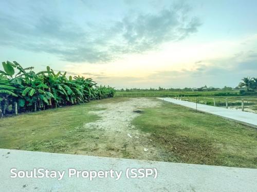 LINE ALBUM  SSP02-ยุหวา-สันป่าตอง 240513 56